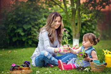 Gardening, discovering and teaching concept