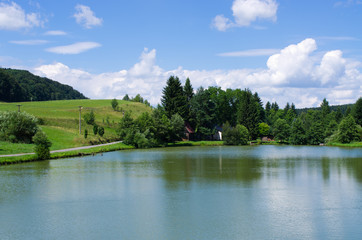 Fototapeta premium Pond surrounded by green meadows