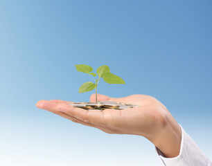 plant growing from coins  in hand