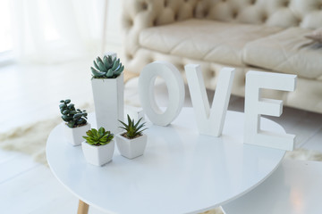 Love inscription on a white table with succulents in a white living room