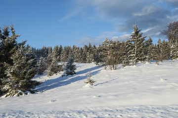 Fototapeta na wymiar Winterlandschaft, Münstertal im Schwarzwald, Deutschland