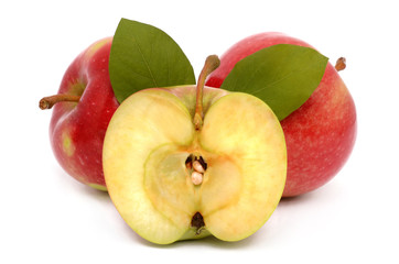 apples on a white background
