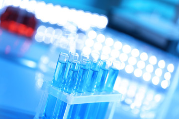 Test tubes in holder on blurred background