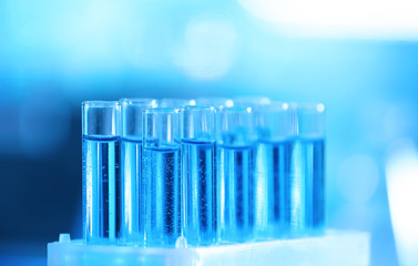 Test tubes in holder on blurred background