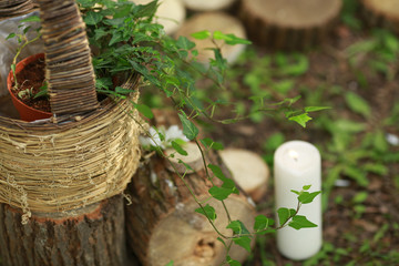Details of a wedding ceremony: stumps, candles, basket, greenery.