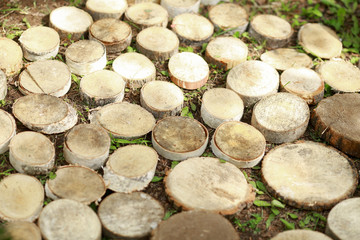 Tree stumps background. The original texture of a beautiful round wood.
