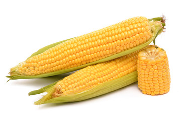 Corn on a white background