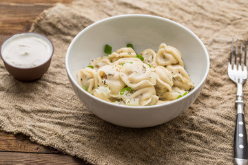 Meat dumplings - russian pelmeni, ravioli with meat on a white plate