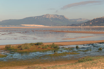 The intertidal habitat of Los Lances, west of Tarifa, Cadiz, Andalucia, Spain. (HDR)