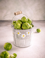 Fresh Brussels sprouts in metal bucket on light gray stone table. Healthy food concept with copy space. Retro style toned.