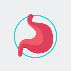 Fototapeta premium stomach