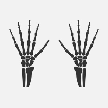 wrist hands bones