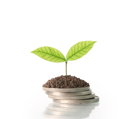 Coins graph stock market