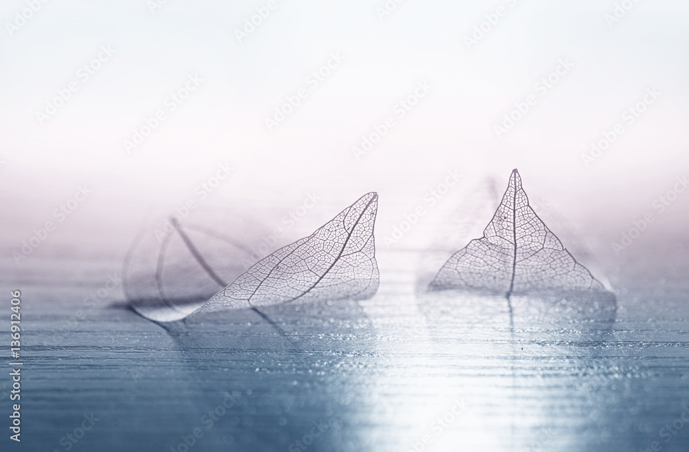 Aufkleber transparent skeleton leaves in the form of ships at sea at sunrise in a fog on blue and pink backgro