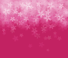 満開の桜の背景イラスト