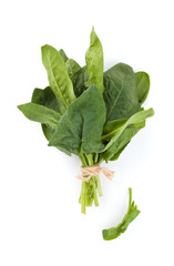 Fresh spinach leaves.