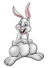 Cartoon White Bunny Rabbit