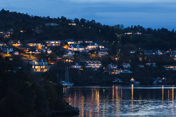 Naklejka premium Night view of the houses on the coast
