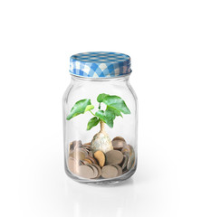  coins in piggy bank Glass