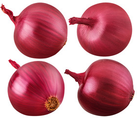 one bulb red onion set isolated on white background © dimakp