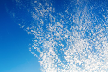 Blue sky with white tiny clouds. Natural background.