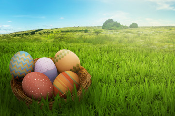 Easter eggs on nest in the green field