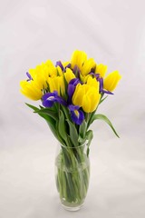 bouquet of yellow tulips and blue irises on a white background © Nady
