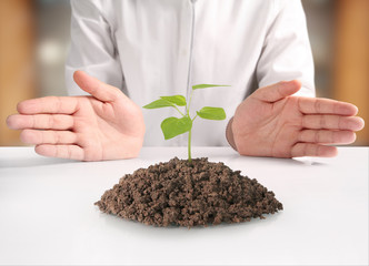 holding green plant in hand