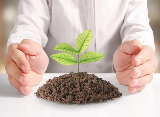 holding green plant in hand