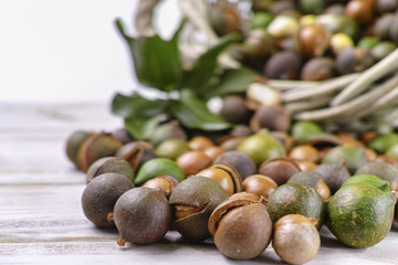 Macadamia nuts with shell - tasty expensive fat nuts
