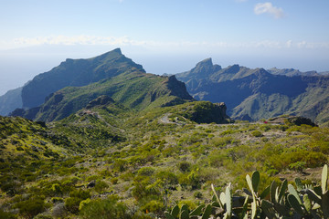 Obraz premium Nature near Masca Village, Tenerife