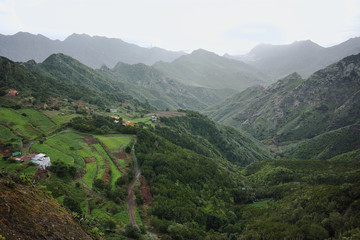 Fototapeta premium Road TF-12 in Anaga Rural Park - peaks with ancient forest on Tenerife