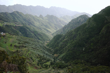 Fototapeta premium Road TF-12 in Anaga Rural Park - peaks with ancient forest on Tenerife