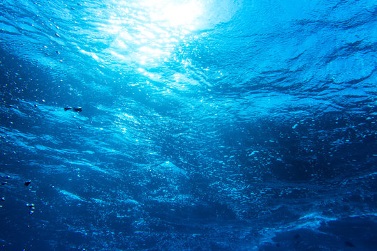 Fototapeta sun  shining through the surface of blue ocean water / Sonnenstrahlen und Sonne unterwasser Hintergrund