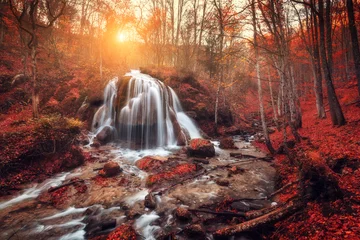 Poster Waterval. Kleurrijk landschap met prachtige waterval aan de bergrivier in het bos met rood gebladerte bij zonsondergang in de herfst. Bomen met rode bladeren. Stenen met mos in het water. Wazig water. Natuur © den-belitsky