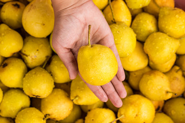 Beautiful background with ripe yellow pear with a woman's hand