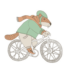  Beaver in coat and scarf riding a bicycle © Kateryna