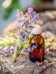 Bunch of lavandula or lavender flowers and oil bottle are on the