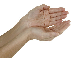 Dear Abundant Universe Please Provide - a pair of female hands held in a cupped position isolated on a white background 