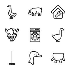 Set of 9 domestic outline icons