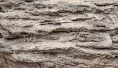 Old stone wall in ruined castle