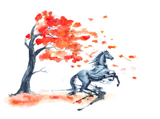 Wet watercolor rearing up horse with ink blots stains autumn tree with red fall leaves on white. Hand drawing illustration of black stallion in motion