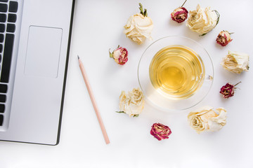 Workspace on table of pen, laptop and cup of green tea with dry roses on work table. Isolated.