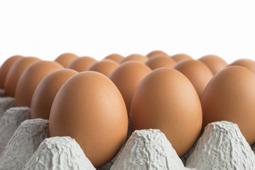 Cardboard tray filled with brown eggs.