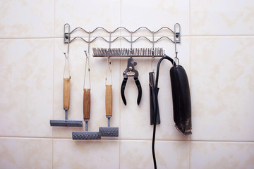 accessories for the grooming
