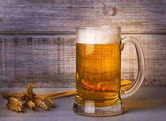Glass of beer and barley cereal grain. Beer still life