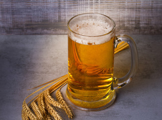 Glass of beer and barley cereal grain. Beer still life