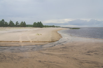 Sand and Vegetation in Lagoa do Patos lake