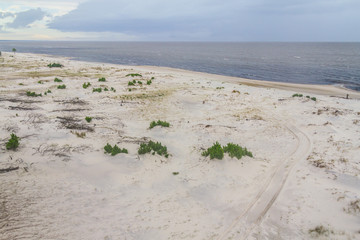 Vegetation and dunes in Lagoa do Patos lake