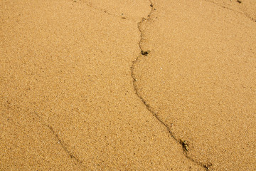  Golden Patterns Grain and Textures of Sea Sand